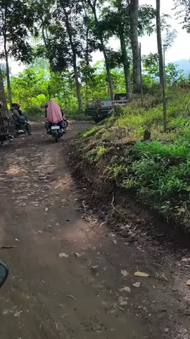 Jalur alternatif gumitir Banyuwangi - Jember #gumitir #jaluralternatif #banyuwangi #jember #fyp 