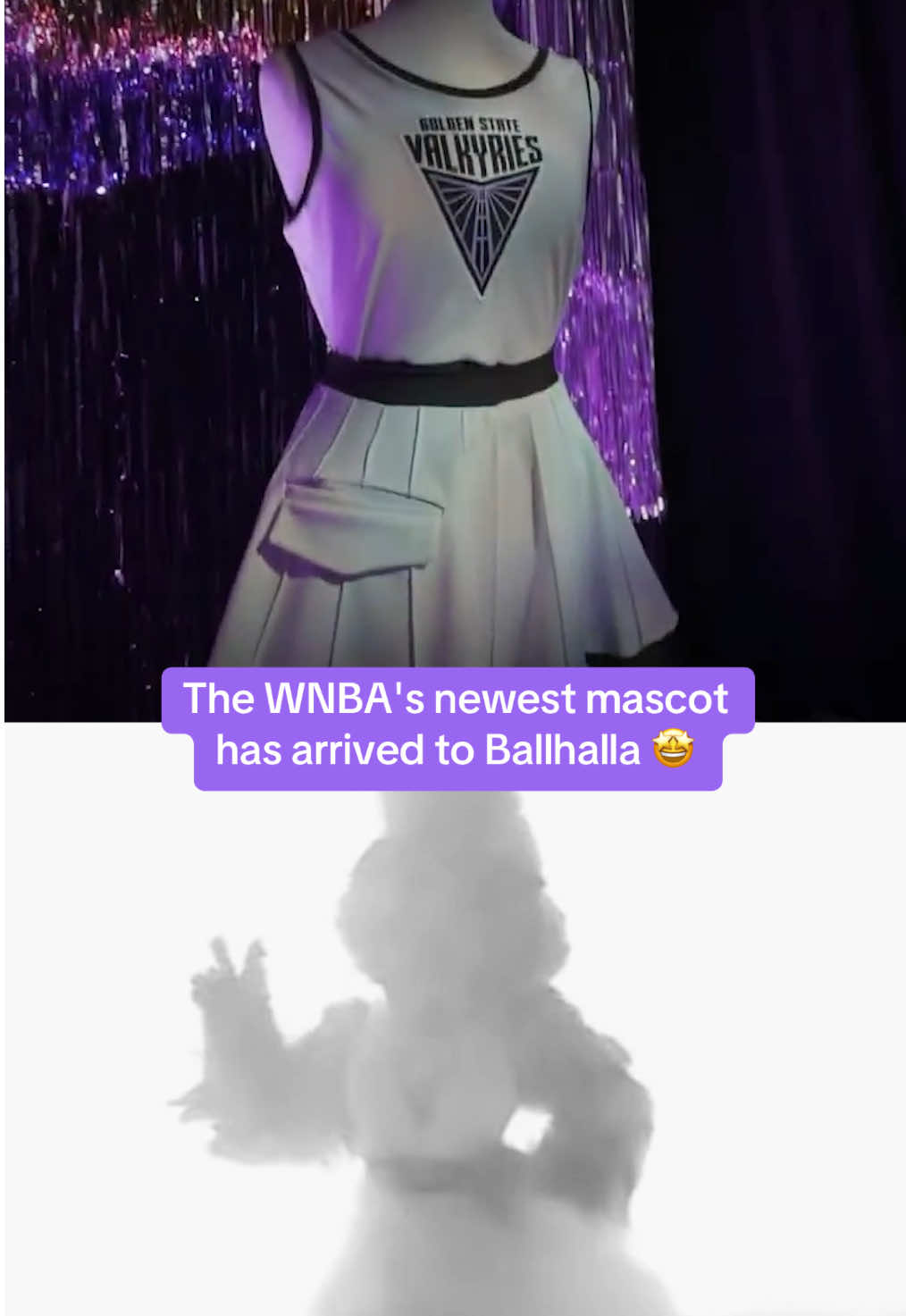 Welcome to the #W, Violet 👏  (via @vi) #WNBA #goldenstate #mascot #valkyries 