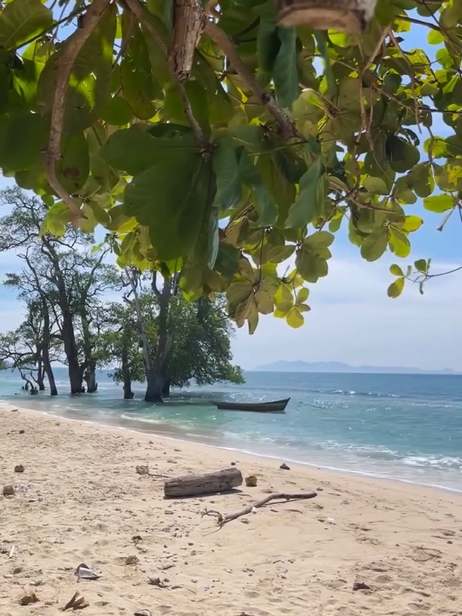 #beach #panorama #views #nature #cintaseberang #laguviral #tiktok 