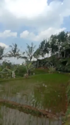 cilodong nagrak kb sukabumi jabar