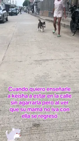 #viraltiktok #paratiiiiiiiiiiiiiiiiiiiiiiiiiiiiiii #fyppppppppppppppppppppppp #fyyyyyyyyyyyyyyyy #elmejor #elmejorhastag😘 #husk #cachorra 