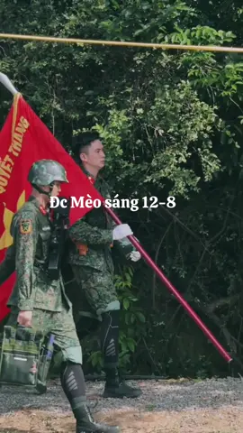 Đc Mèo sáng nay 12-8#lehoanghiep#a80 