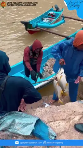 Aktifitas nelayan mulai kembali normal setelah ombak besar beberapa hari yang lalu. Semoga selalu diberi kesehatan dan keselamatan, semangat menjemput rezeki 🙌🏻☺️ #nelayan #nelayanindonesia #perikanan #perikananindonesia #gesing #pelabuhangesing #pelabuhanperikananpantai #yogyakarta #gunungkidul #dislautkandiy 