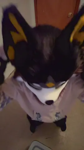 #fypppppppppppppppppppppppp #fyp #fypシ #furry #furrytiktok #fursuit #fursuiter #fursuitersoftiktok #fursuiting #fursona #oc #wolf 