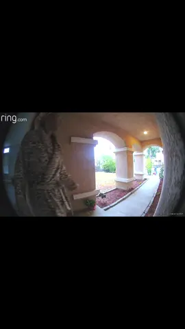 wrong yard, wrong day, wrong b*tch! #ringdoorbell #homelesspeople #fyp #gtfoh #ringvideodoorbell 