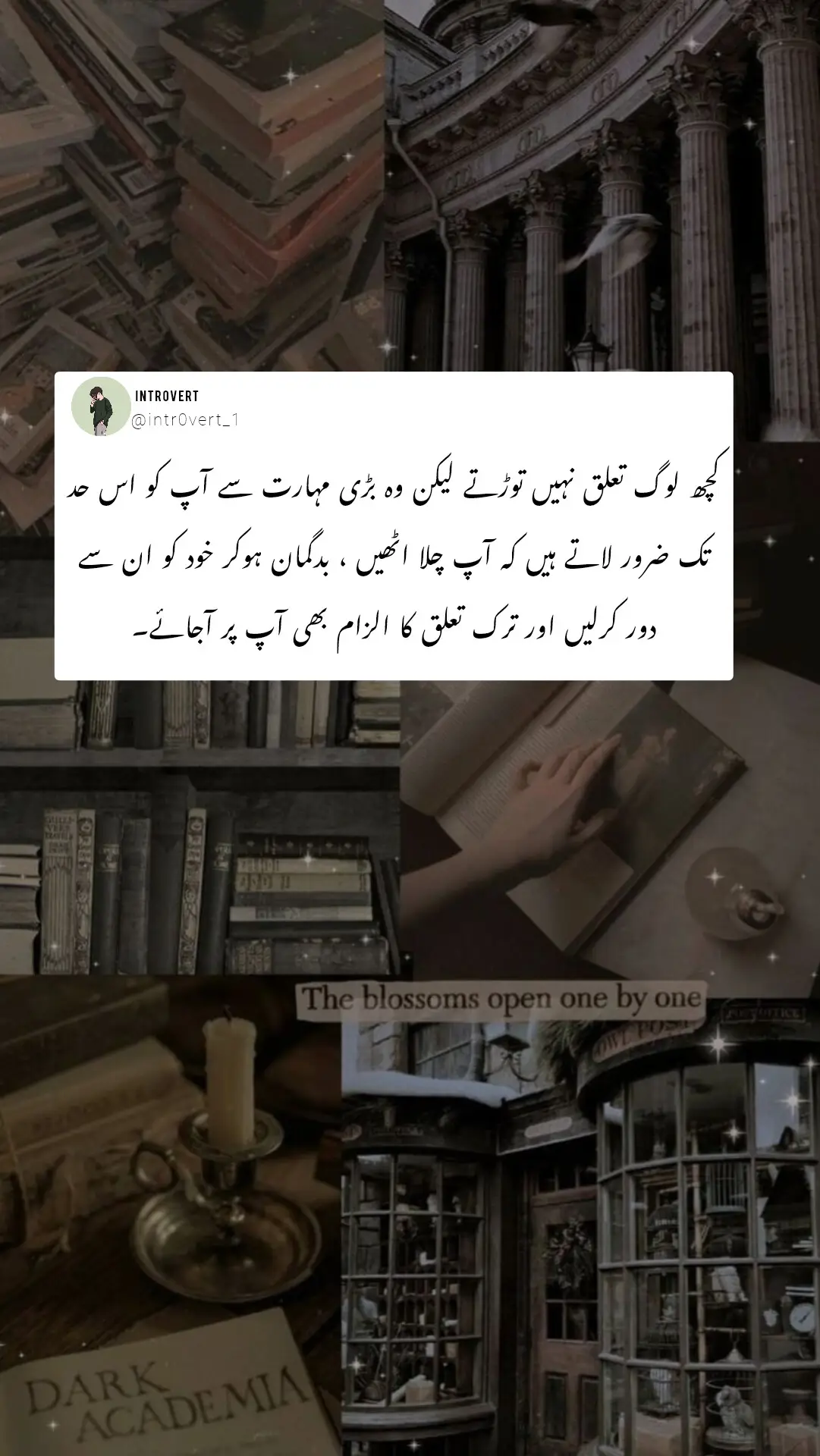 وہ پتھر ہم نے خود ہی چن لیے ہوتے ہیں جب ہم خود سے زیادہ کسی دوسرے شخص کو اپنے حواس پر سوار کر لیتے ہیں وقت گزرنے کے ساتھ ساتھ ہمیں وہ محسوس کروا دیتا ہے کہ تمھارا یقین کرنا فضول اور بے معنی ہیں🥀 @𝐒𝐎ح𝐀𝐈𝐋💸 #foryoupageofficiall #foryoupage #creatorsearchinsights #viraltiktok #growmyaccount 
