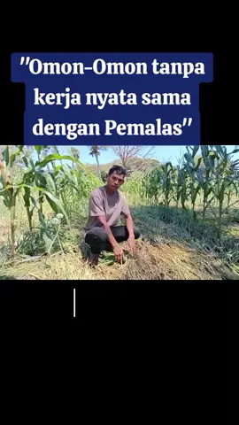 Sosok Inspiratif, Jefry Sereh !!! Empat Bulan Menghasilkan Rp260an juta bahkan bisa lebih. #fyp #nttpride🏝🔥 #viral #bawangmerah #merdeka 