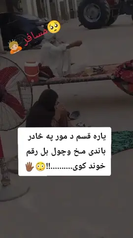#مورجانه❤️🥺🖐🏾 #repost #dontunderreviewmyvideotiktok #creatorsearchinsight#viewsproblem😭 