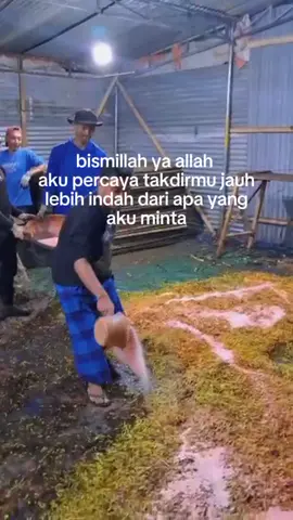 2024 pernah segila ini los!!#promomakanmerdeka #temanggung #temanggunghits #tembakau #temanggung24jam 