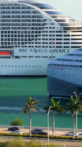 A gigante MSC #msccuises #cruisetok #cruises 