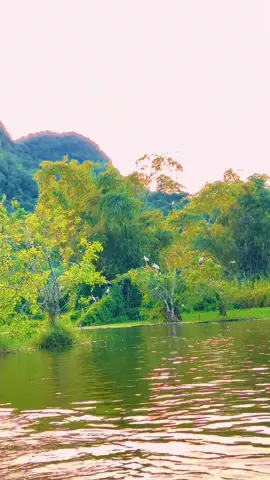 Thung nham Ninh Bình ❤️⛰️#xuhuongtiktok #xuhuong #ninhbinh 
