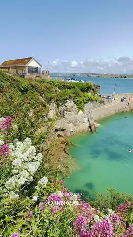 My favourite harbour 🌸🩵  How beautiful is Newquay Harbour .. it always makes me happy 🩵 #cornwall #newquay #cornwalllife #cornwalltiktok #cornwallsummer 