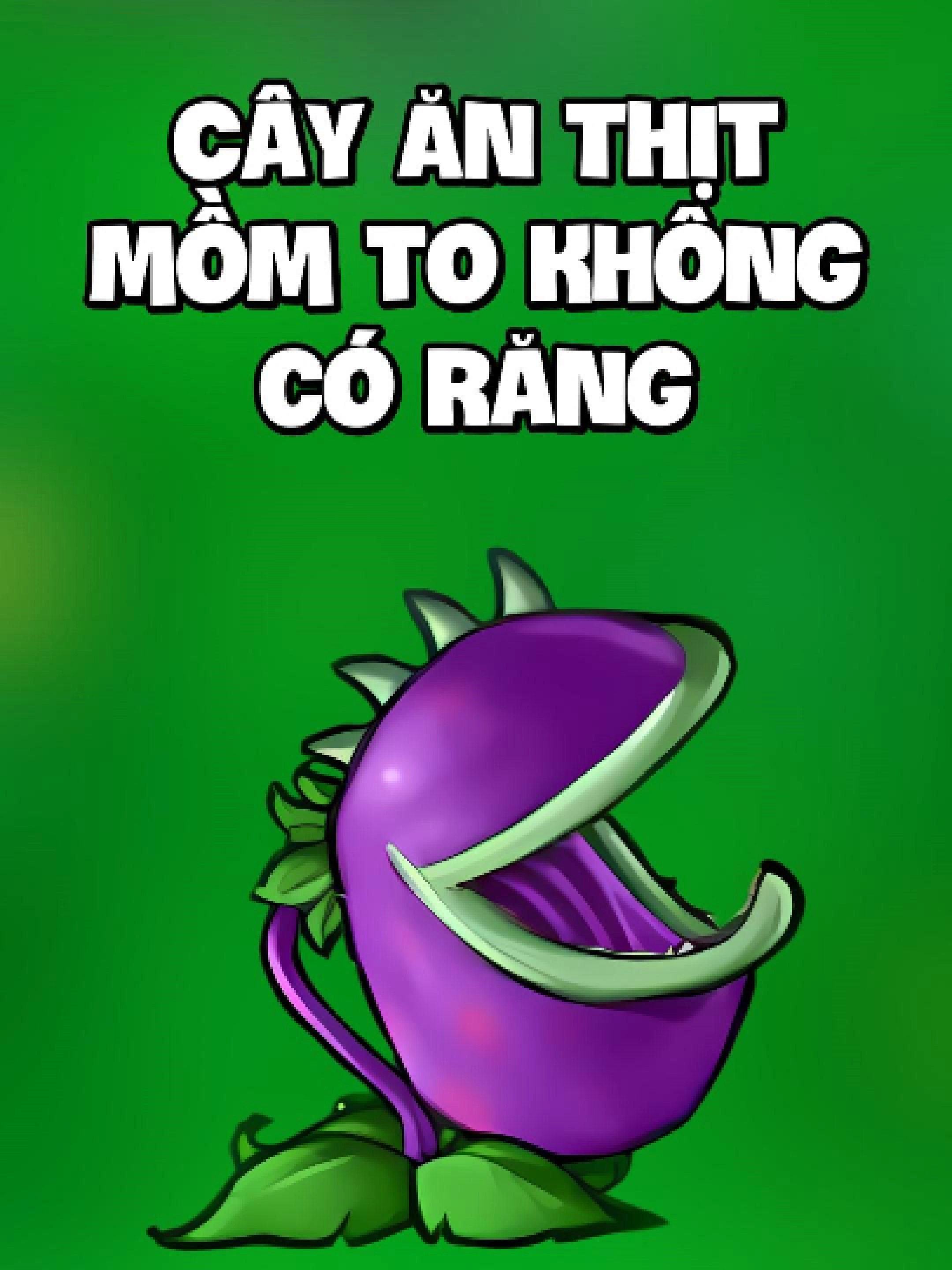 cây ăn thịt này không thể cắn #yunyun #pvz
