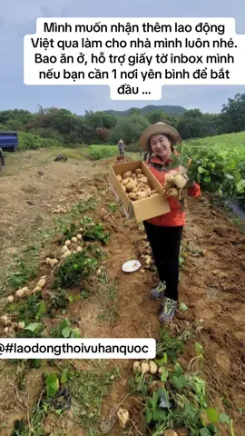 #laodongthoivuhanquoc 
