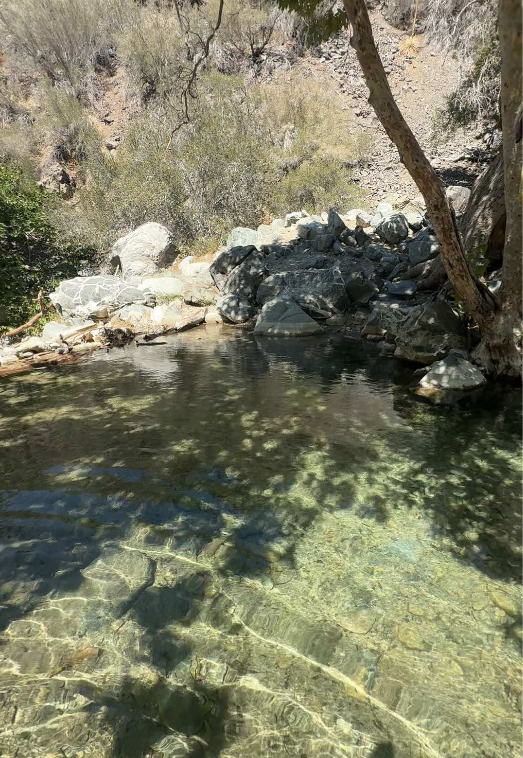 Big Rock Creek, Vayermo California.                            YouTube lopezexplora will show you a step by step guide to this and many other amazing hiking destinations !! Follow, subscribe and leave nothing behind!! 🥾🥾. En YouTube Lopezexplora te enseño como llegar paso a paso a este y muchos lugares espectaculares más!! Sígueme, suscríbete y no dejes basura!!   🥾🥾