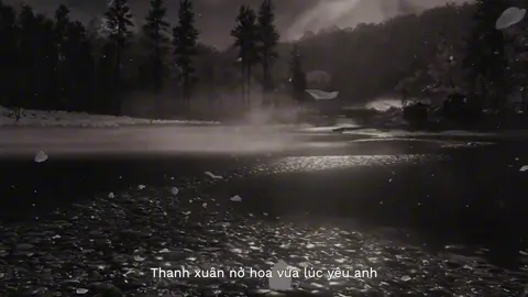 Thanh xuân nở hoa vừa lúc yêu anh #nhachaymoingay #nhacbuon #vthai6605 #xuhuong2025 