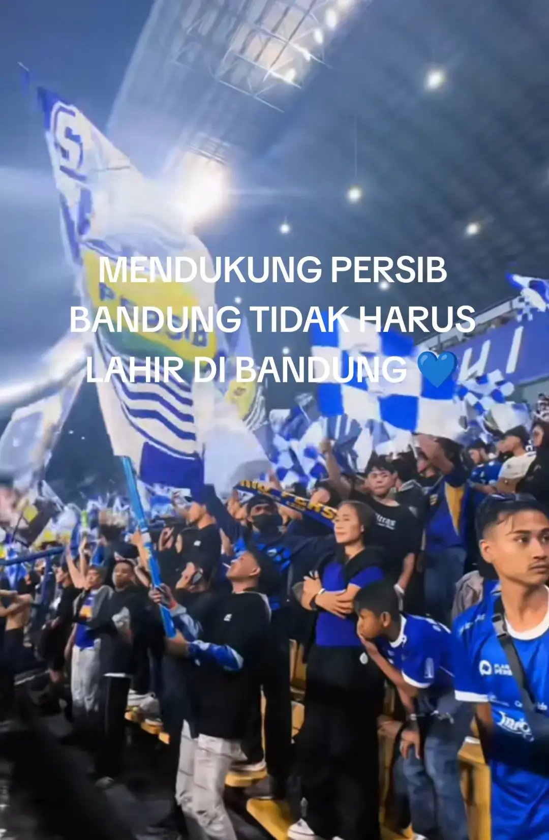 #persibbandung #bobotohpersib1933  #viking #vikingpersibclub #tren  #fyp 