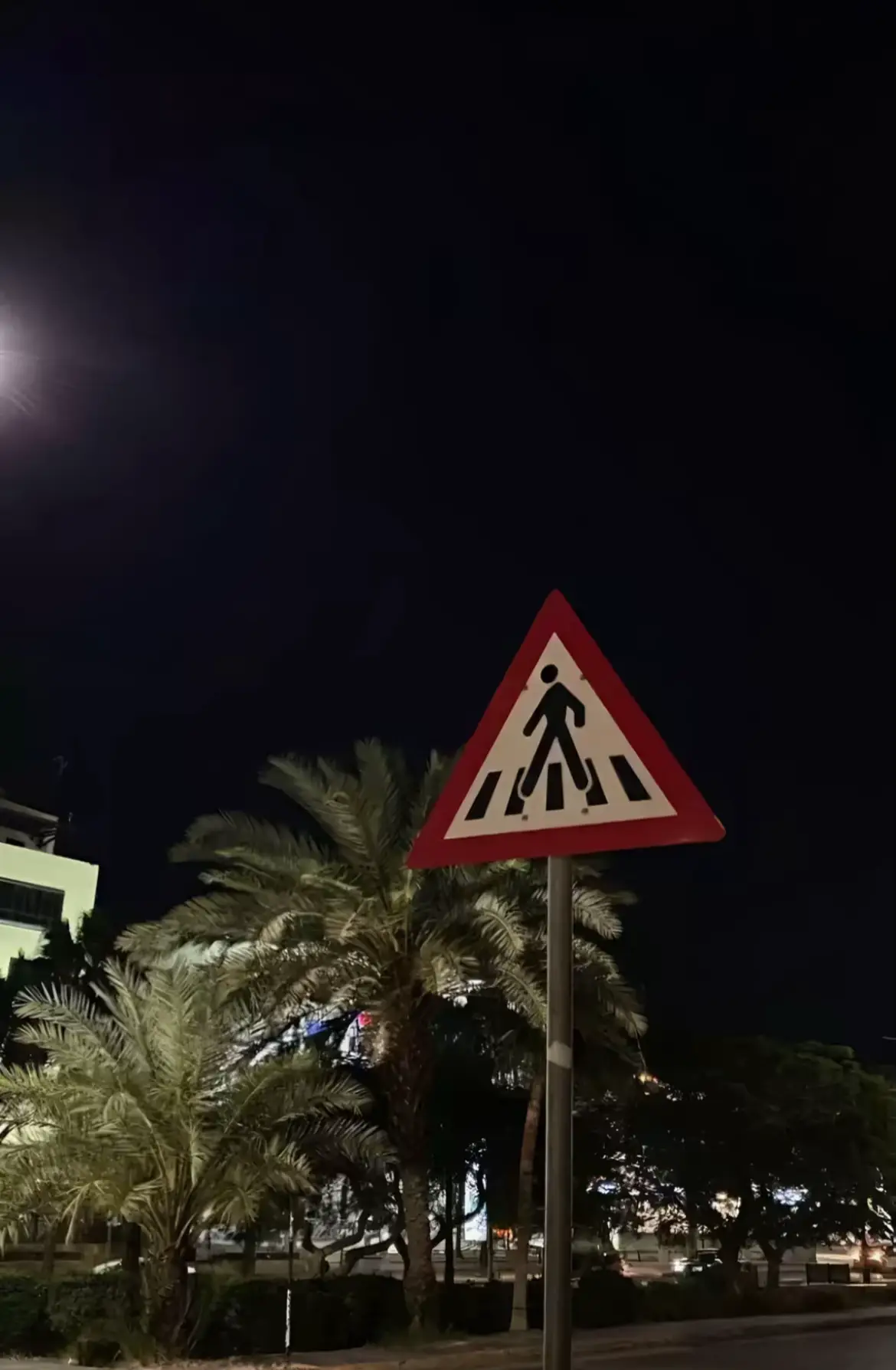 #قران_كريم 