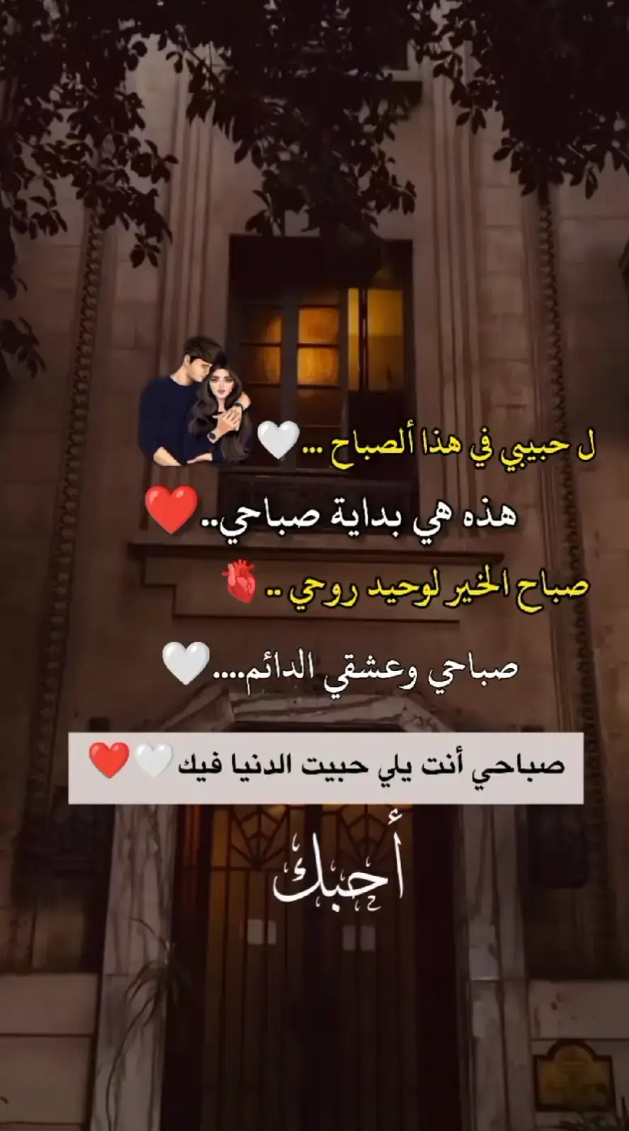 حب عمري وحياتي ونبض قلبي ❤️ 