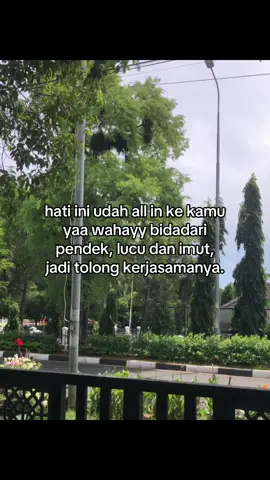#galaubrutal 