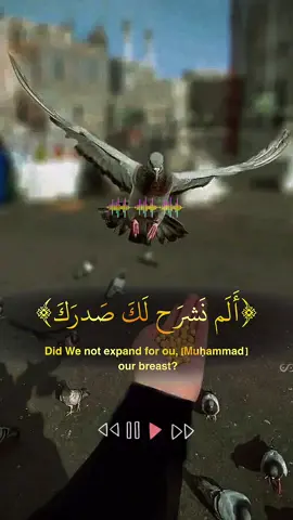 ##allah❤️ #quransurah #droodpak #fyp #bashak 