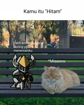 Iyain aja wok😄  #sailorsong #fyp #argus #kucing #songlyrics 
