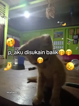 🤭🤭🤭#fyp 