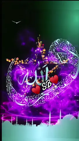 #allah❤️ #hazartmuhammads_s_a_w_w_❤️ #islamic_video #muslimtiktok #unfreezemyacount 