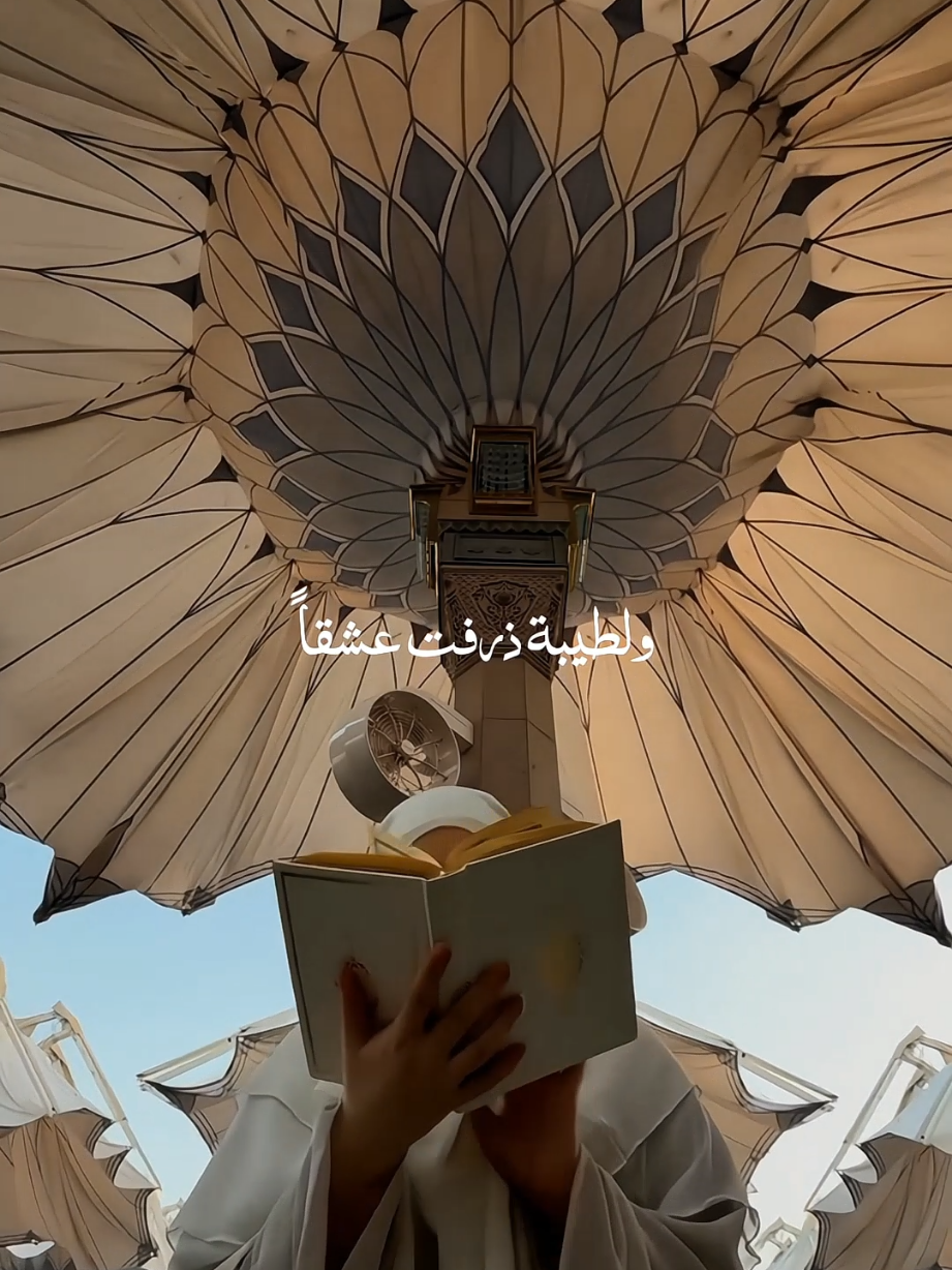 Assalamu Alayka . . . . #nasheed #islamicstatus #viralvideos #maherzain  #qalbibeats 