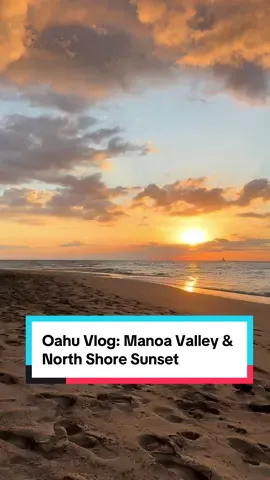 Oahu Vlog: unlucky in seeking coffee in Manoa Valley on a Monday morning — both Morning Glass and the Waioli Tea Room were closed! After a bit of work, I drove up to the North Shore, had lunch at the Blue Water Shrimp truck, and then ended up at Laniakea Beach for the sunset. #oahu #oahuhawaii #northshore #northshoreoahu #sunset 