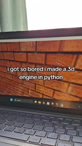 ts so niche twin #foryoupage #foryou #fyp #fy #python 