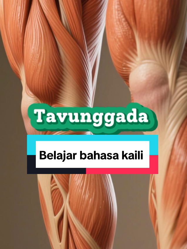 Anatomi tubuh dalam bahasa kaili ledo #sulteng_palu #donggala #sigi #infopalu #infopalu 
