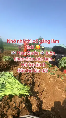 Thực sự muốn đi thì nhắn em ! #xuhuong #xkldhanquoc #nongnghiephanquoc #laodongthoivu #vairal 