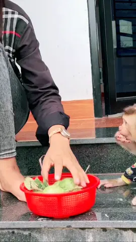 Cute baby monkey drinking the water #uktok #monkey  #usatok #viral #viral 