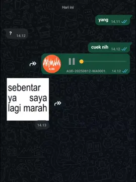 cuek #chatwa #fyp 