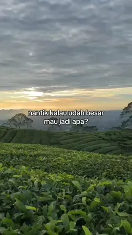 #fyppppppppppppppppppppppp #masukberanda #citacita 