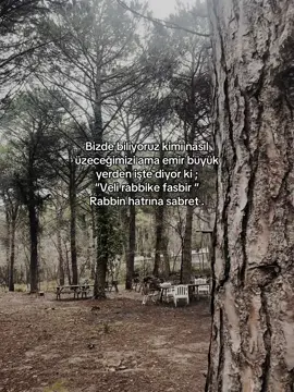 #kesfet #keşfetteyizzz #tiktok #beğeniler #yorumasözbırak #takipleş #keşfetedüş 