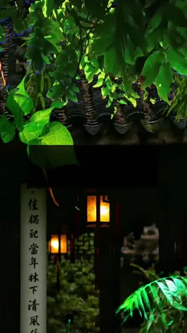 Đừng để lợi nhỏ làm mất lợi lớn. Cổ Học Kỳ Thư – đọc một trang, nhớ cả đời. #SachCoHoc #BookTok #TriTueCoNhan