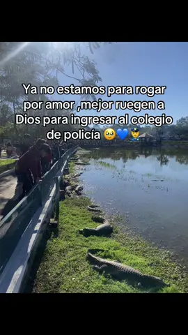 #examendeadmisión #poli #meta #fyppppppppppppppppppppppp #cursillo 