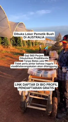 DAFTAR SEKARANG!!! #pemetikbuah #lokeraustralia #4u #4upage #lowongankerja 