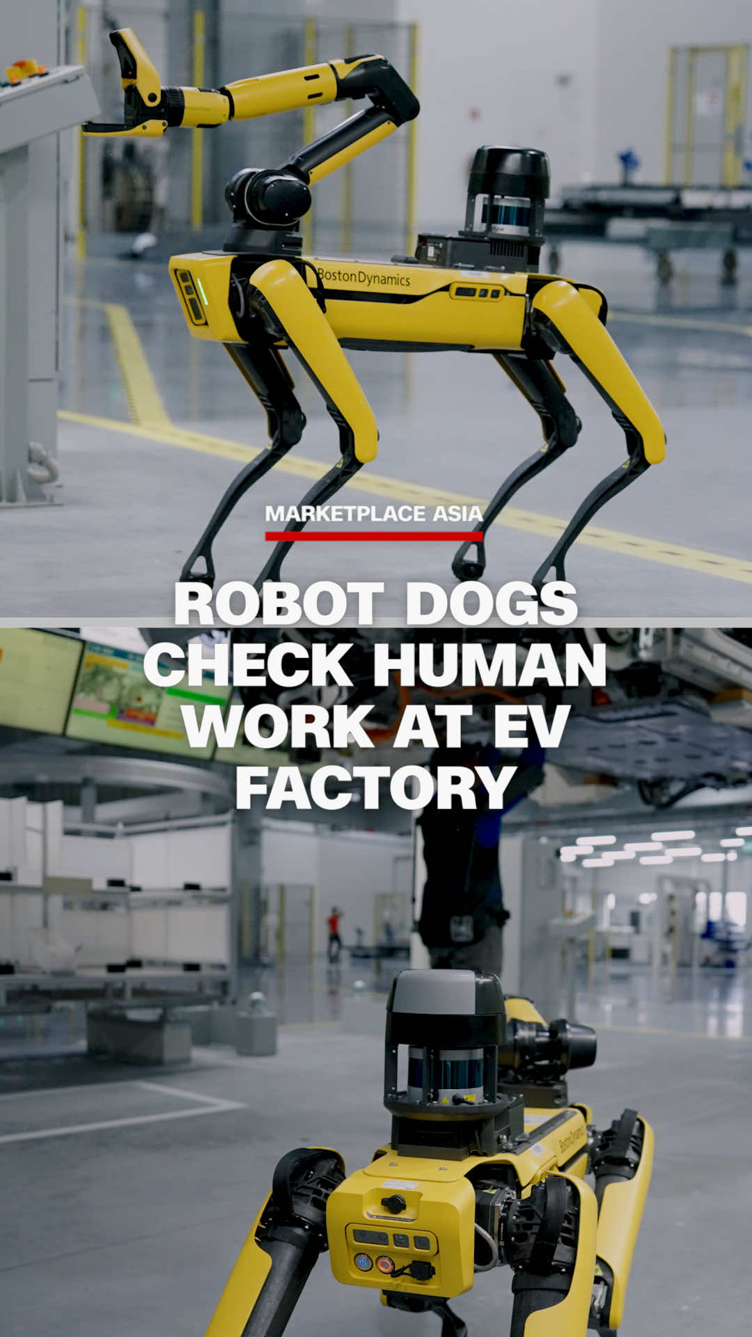 The Hyundai Motor Group Innovation Center is Singapore’s first EV manufacturing plant. Automation leads the way here and Boston Dynamics’ four-legged robot dog Spot is in charge of inspecting human engineers’ work. #CNN #News #Robotics