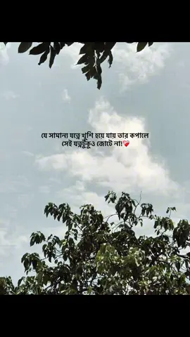 যে সামান্য যত্নে খুশি হয়ে যায় তার কপালে সেই যত্নটুকুও জোটে না!❤️‍🩹 #foryou #banglacaption #sadcaption #emotionalvideo #fyp 