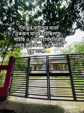 নিজের মাইন্ডের মতো একজন মানুষ চাইছিলাম,, পাইছি ও,, আলহামদুলিল্লাহ এখন প্রতিদিন ১৯৭১ সালে যুদ্ধ চলে 💯🌺😣 #1millionaudition #fvypシviral #resposta #ppppppppppppppppppppppp 