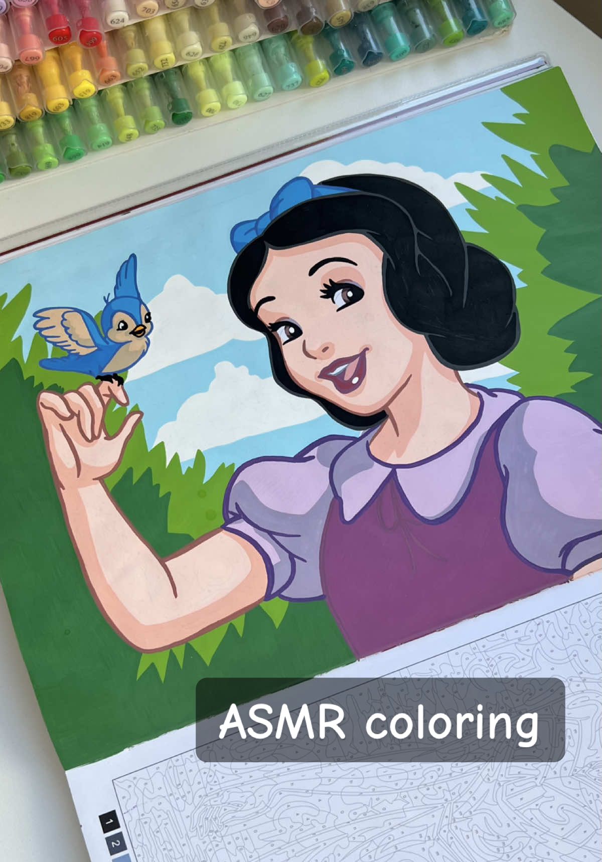 For the color code wait till the end❤️ #asmr #arttherapy #asmrcoloring #princesses #hachette 
