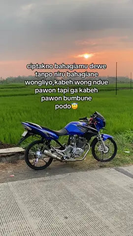#tigermodifikasi 