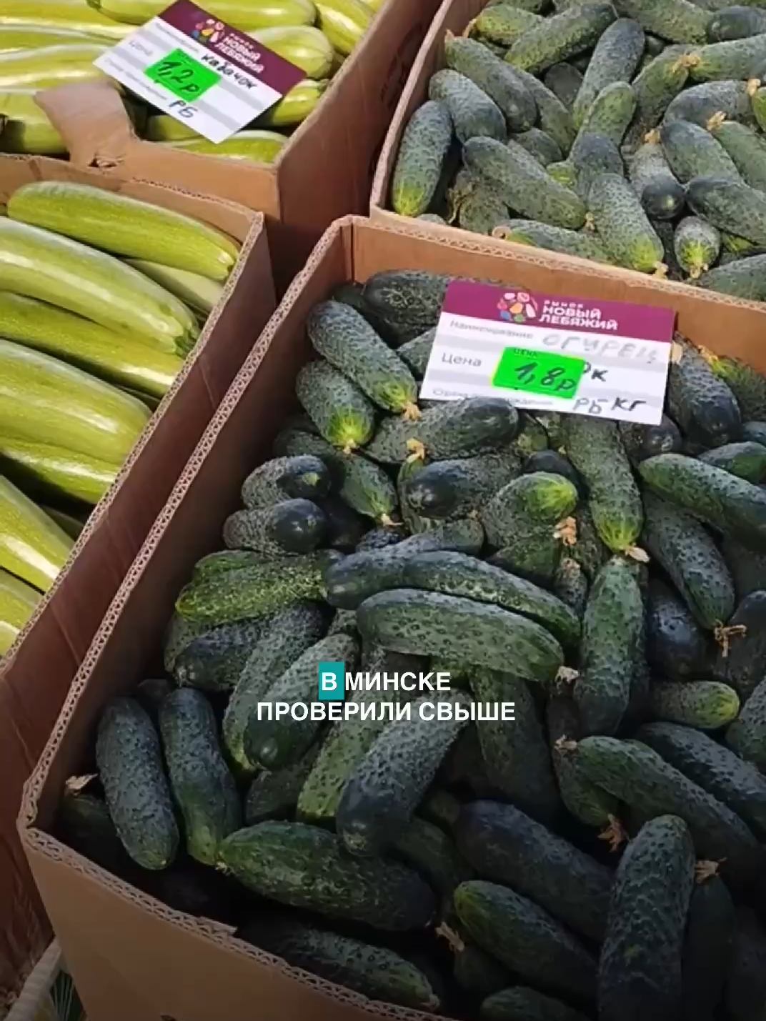 В Минске проверили свыше тысячи овощных ларьков #лукашенко #беларусь #новости