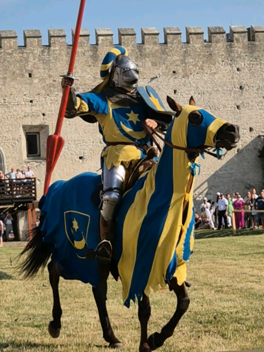 Jousting tournament at Szydłów Casle 🇵🇱⚔️🛡🐴 #medieval #knight #jousting #knighttok #horse 