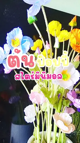 #ต้นป๊อปปี้ #แต่งห้องมินิมอล 
