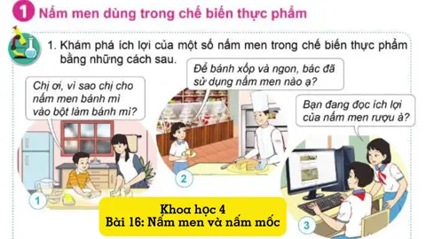 Tạo tình huống bằng veo3