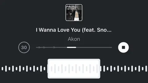 #iwannaloveyou #akon #snoopdogg #song #foryou 